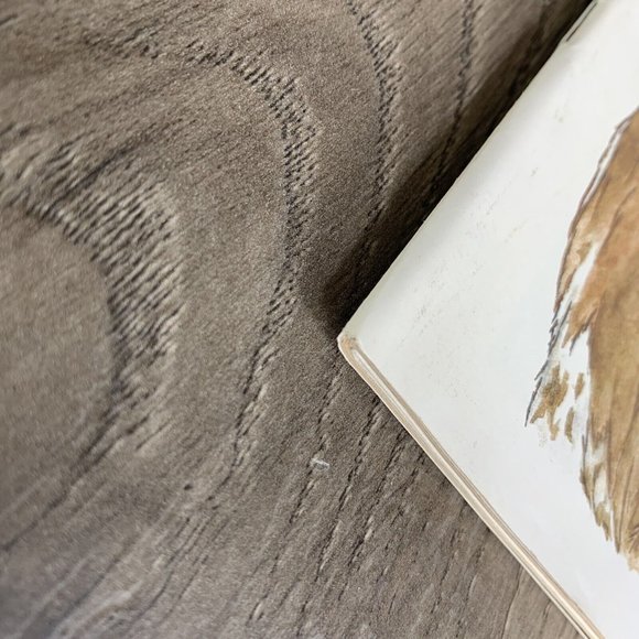 1983 Texas VS. Texas Tech College Football Program - Picture 5 of 8